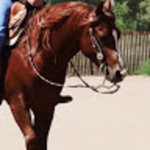 Meet your Posher, Whodini